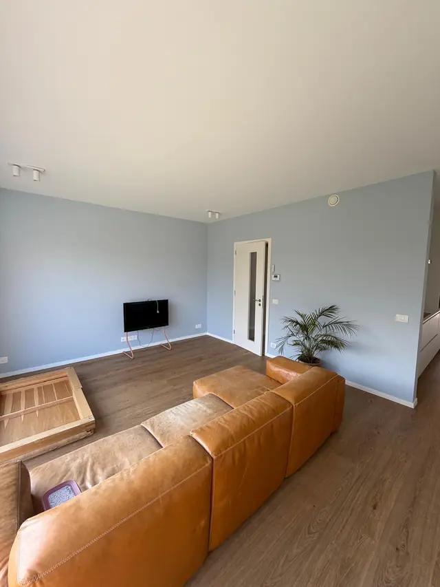 Muurkleur uitproberen: woonkamer met lichtblauw geschilderde muren en een witte deur